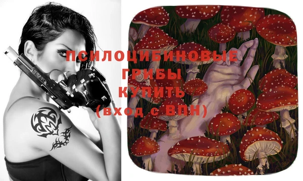 Альфа ПВП Бугульма
